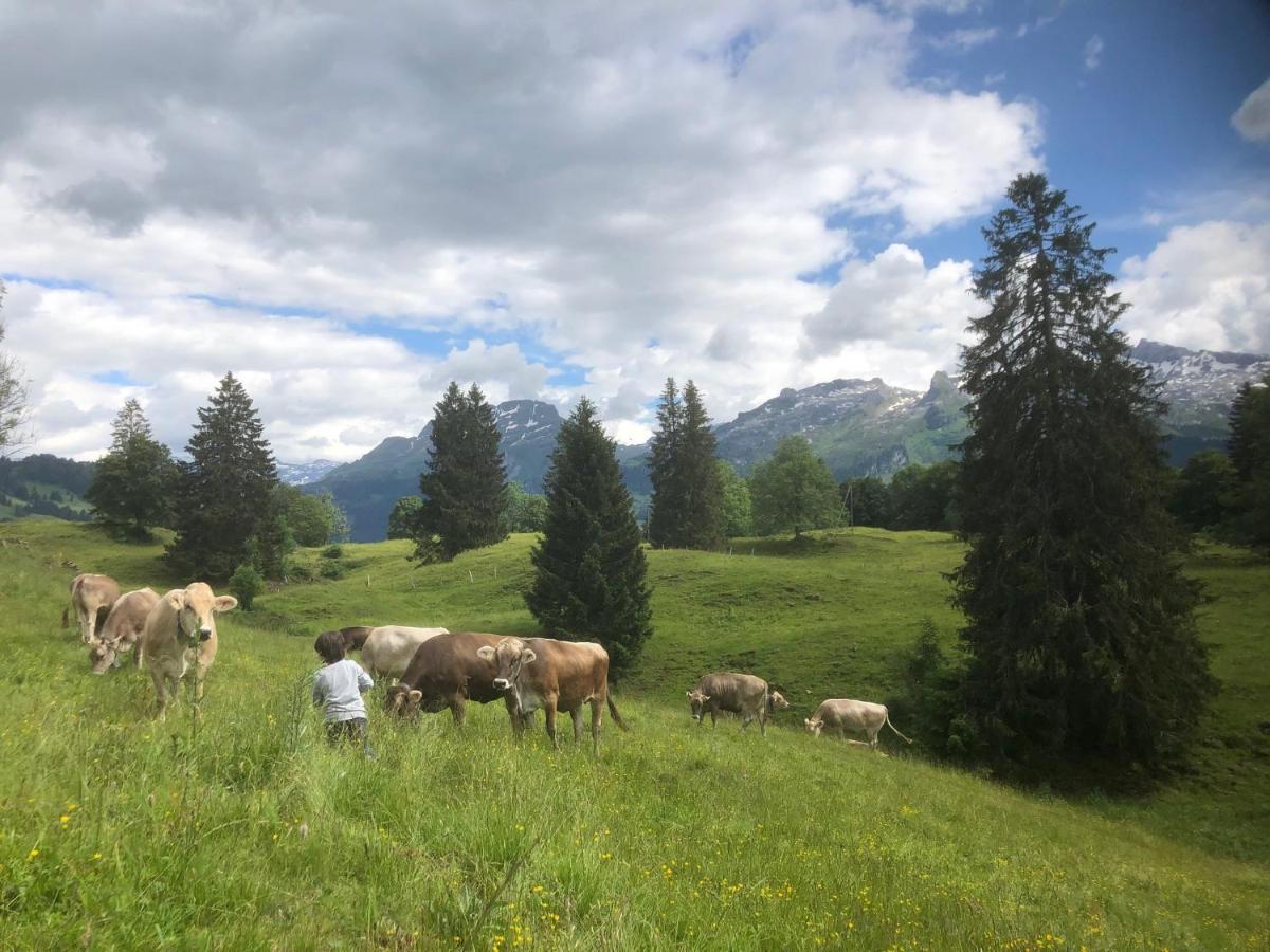 Ferienwohnungen Mit 4 Betten In Gersau Direkt Am Vierwaldstaettersee מראה חיצוני תמונה