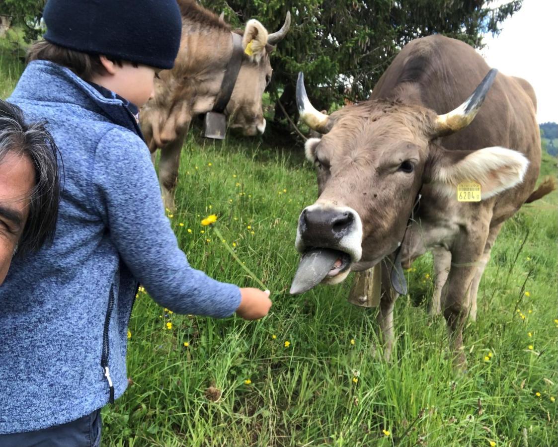Ferienwohnungen Mit 4 Betten In Gersau Direkt Am Vierwaldstaettersee מראה חיצוני תמונה